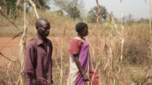 Deutsche Welle News: Drohende Hungersnot im Südsudan