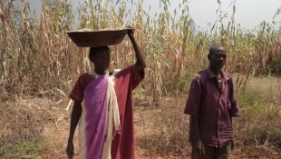 Deutsche Welle News: Drohende Hungersnot im Südsudan