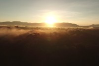 Permalink to Our forest – our future Save Cambodias Wildlife